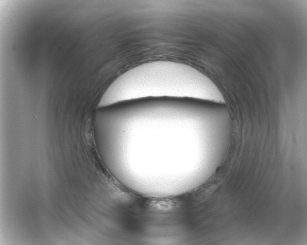 X0000066540181200603171105