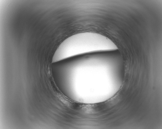 X0000066540182200603171105