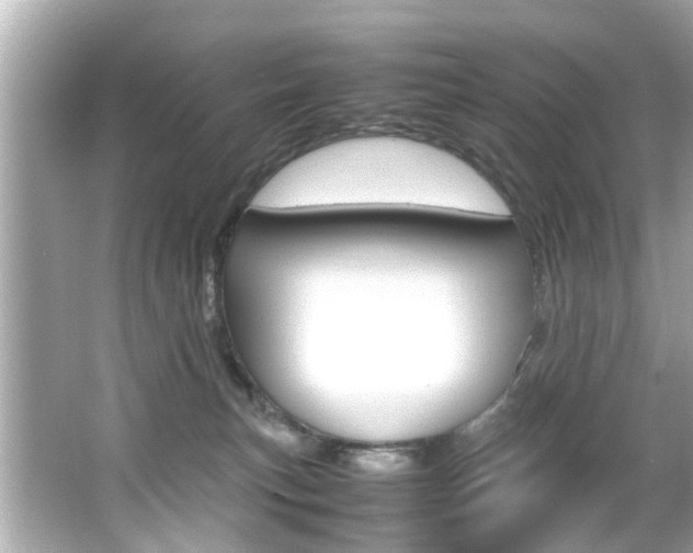 X0000066540183200603171105