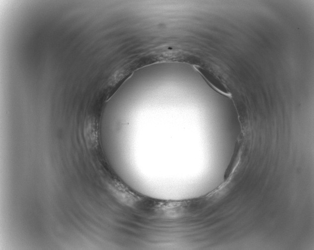 X0000066540186200603171105