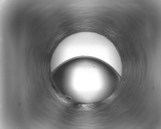 X0000066540188200603171105