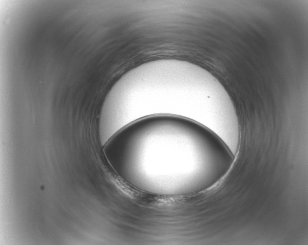 X0000066540190200603171105