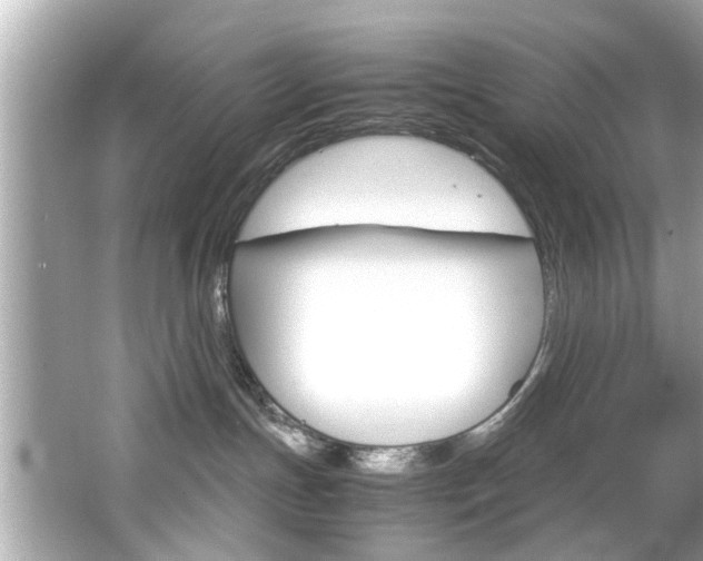 X0000066540191200603171105