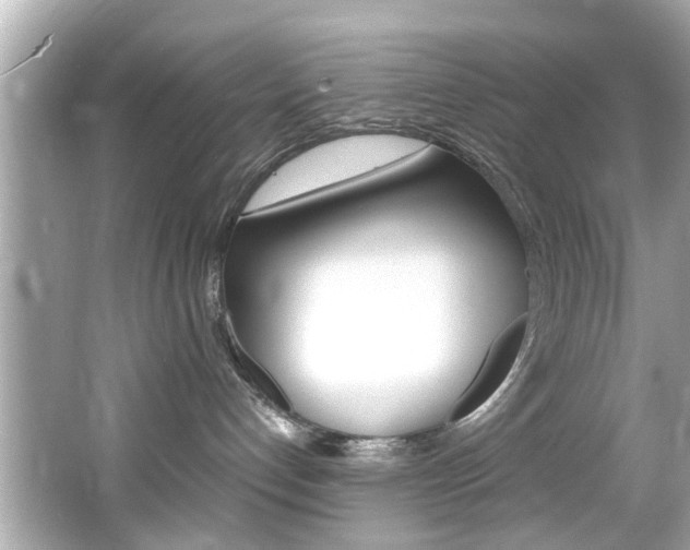 X0000066540192200603171105