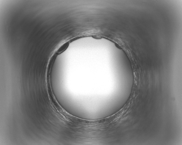 X0000066540196200603171104