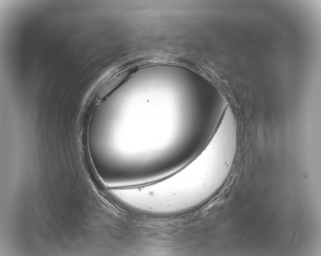 X0000066540197200603171104