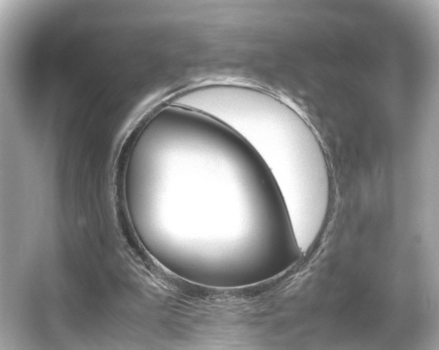 X0000066540199200603171104