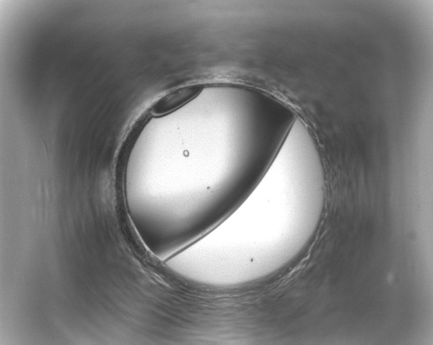 X0000066540200200603171104