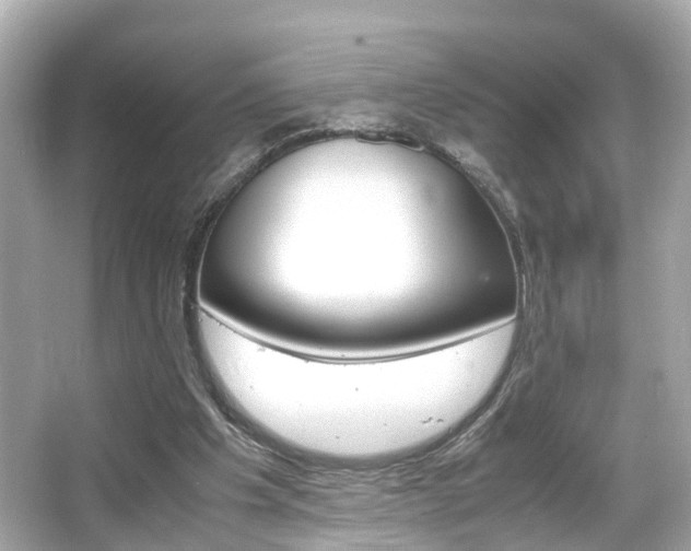 X0000066540201200603171104