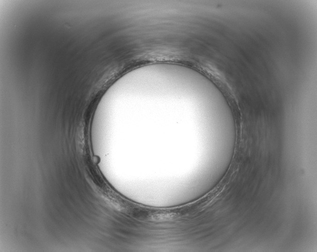 X0000066540202200603171104