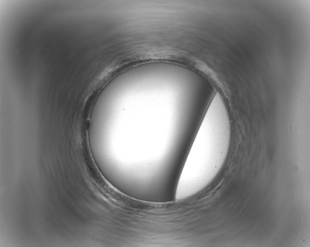 X0000066540203200603171104