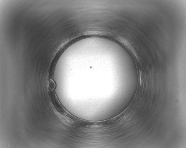 X0000066540204200603171104