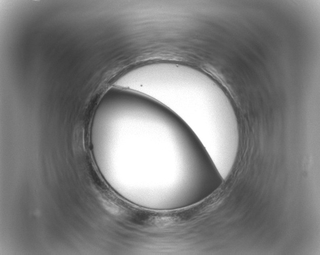 X0000066540205200603171104