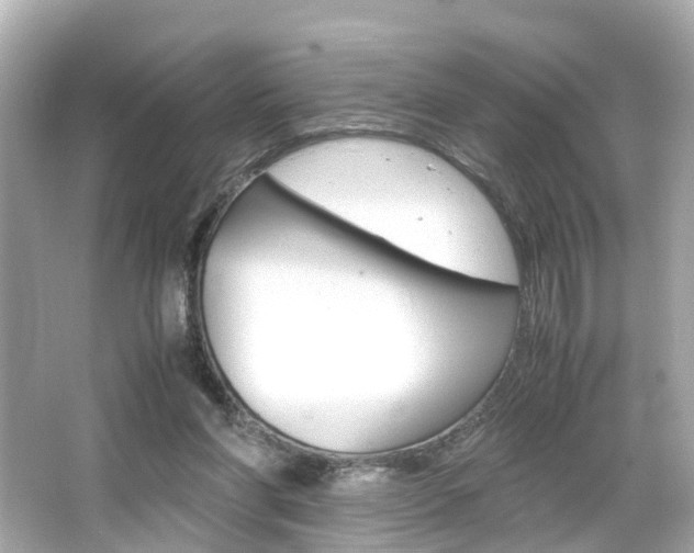 X0000066540206200603171104