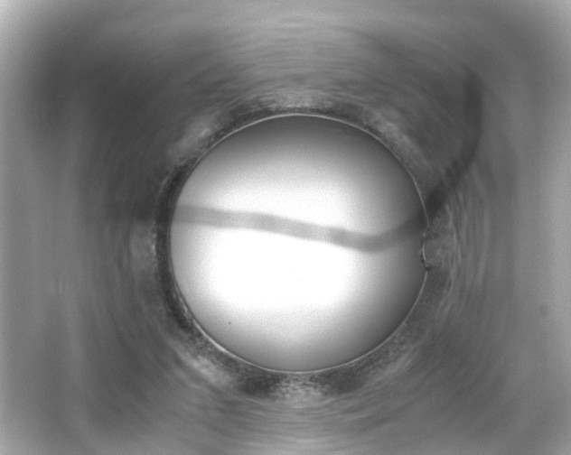 X0000066540207200603171104