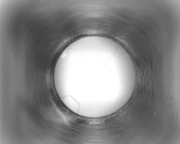 X0000066540208200603171104