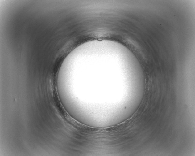 X0000066540210200603171104