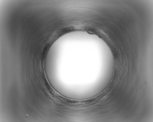 X0000066540213200603171104