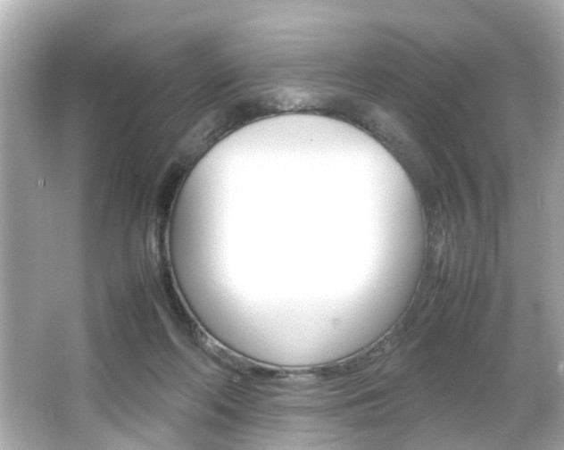 X0000066540214200603171104