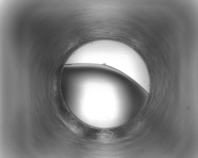 X0000066540215200603171104