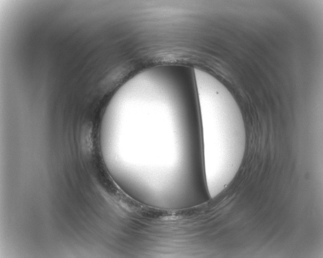 X0000066540216200603171104