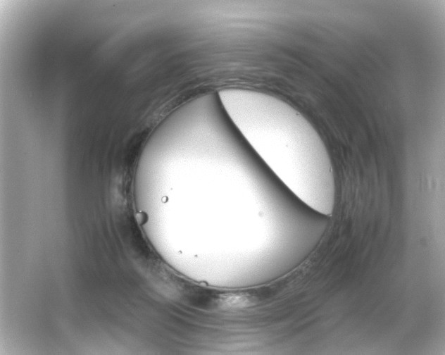 X0000066540218200603171104