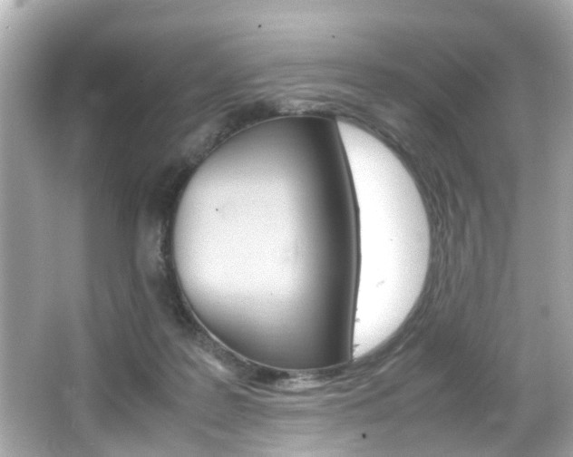 X0000066540219200603171103