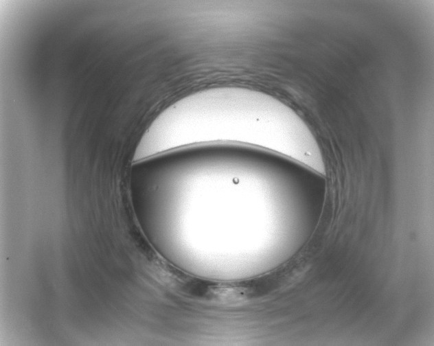 X0000066540221200603171103