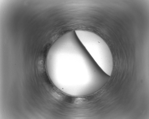 X0000066540222200603171103