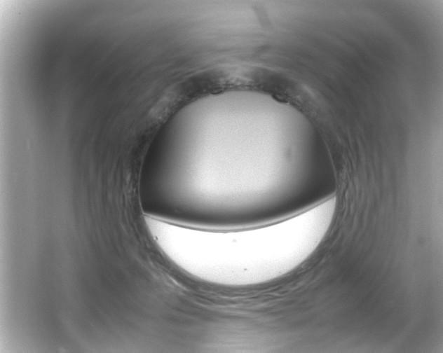 X0000066540223200603171103