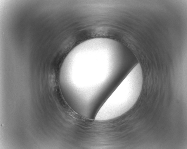 X0000066540224200603171103