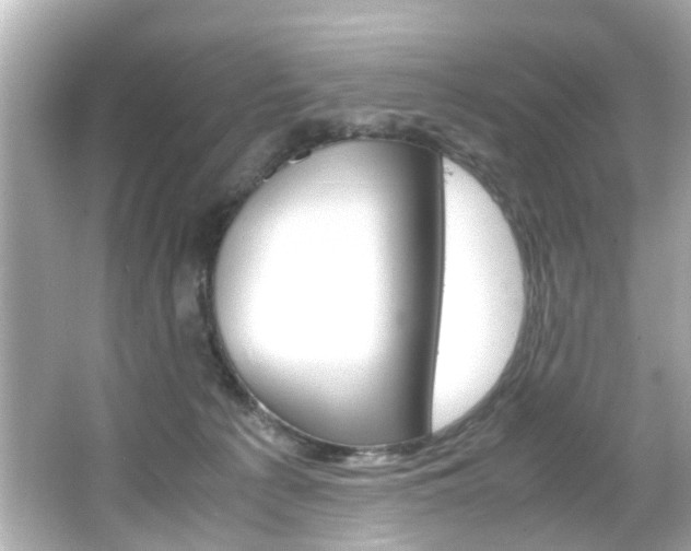 X0000066540225200603171103