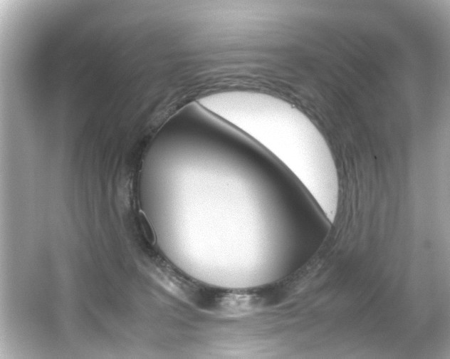 X0000066540227200603171103