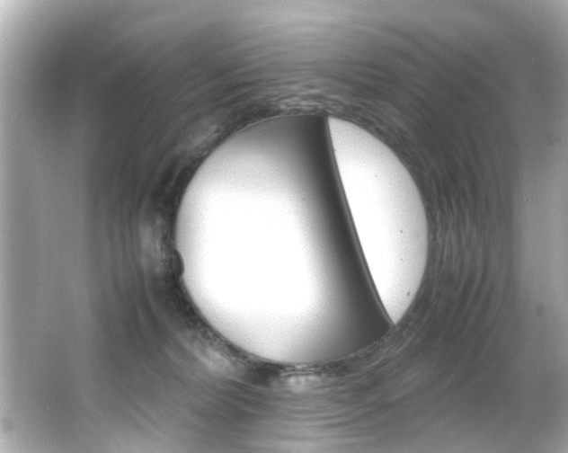 X0000066540228200603171103