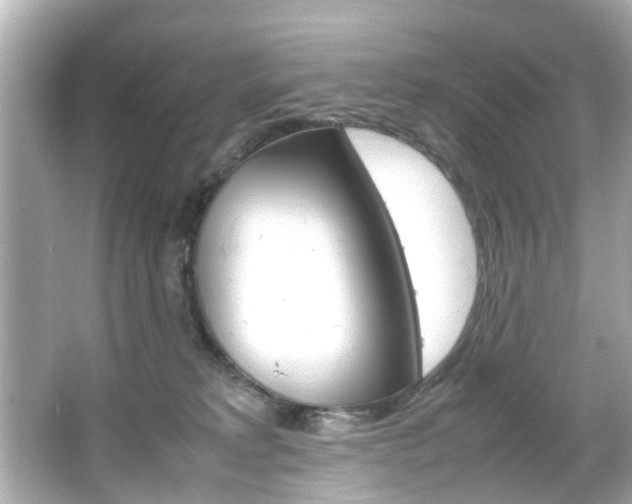 X0000066540229200603171103