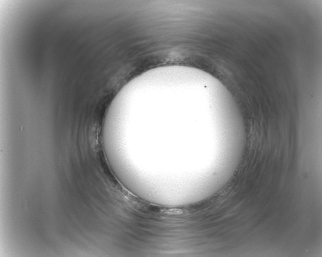 X0000066540230200603171103