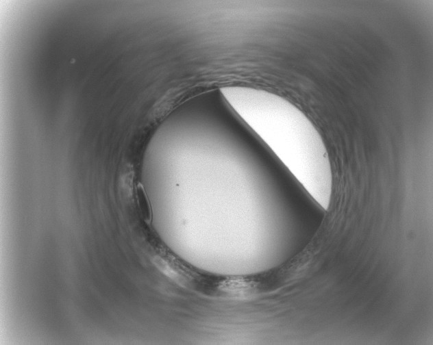 X0000066540231200603171103