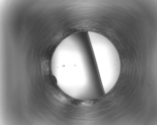 X0000066540232200603171103