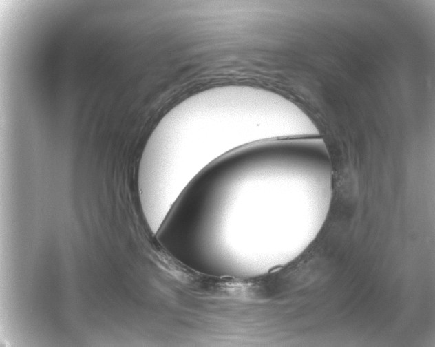 X0000066540233200603171103