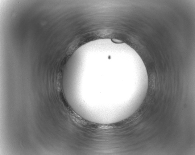 X0000066540234200603171103