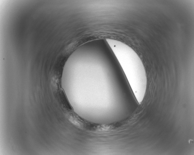 X0000066540235200603171103