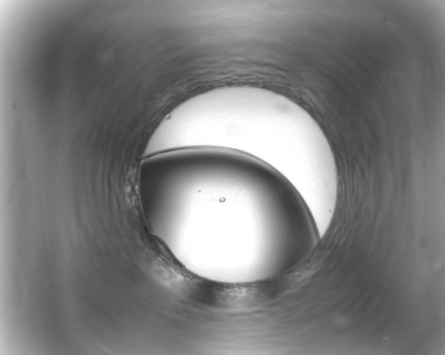 X0000066540237200603171103