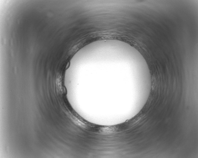 X0000066540238200603171103