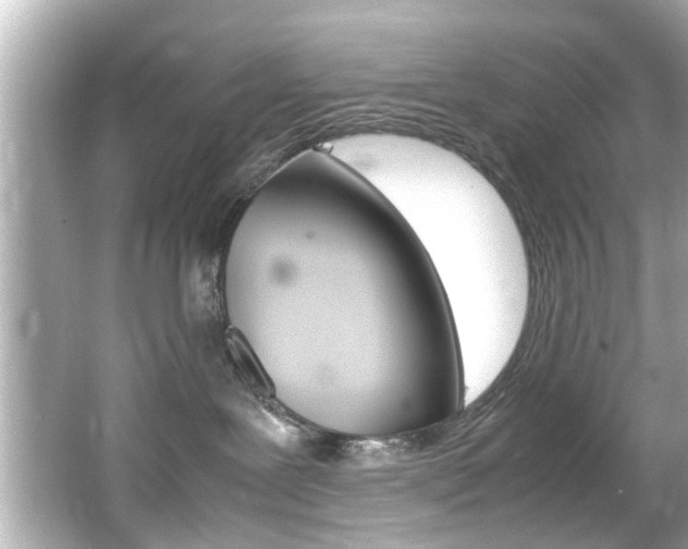 X0000066540239200603171103