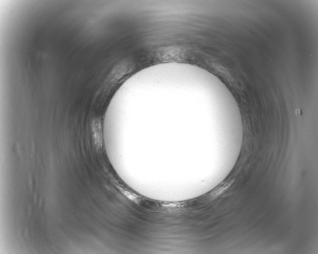 X0000066540240200603171103