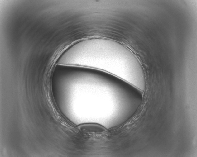 X0000066540241200603171102