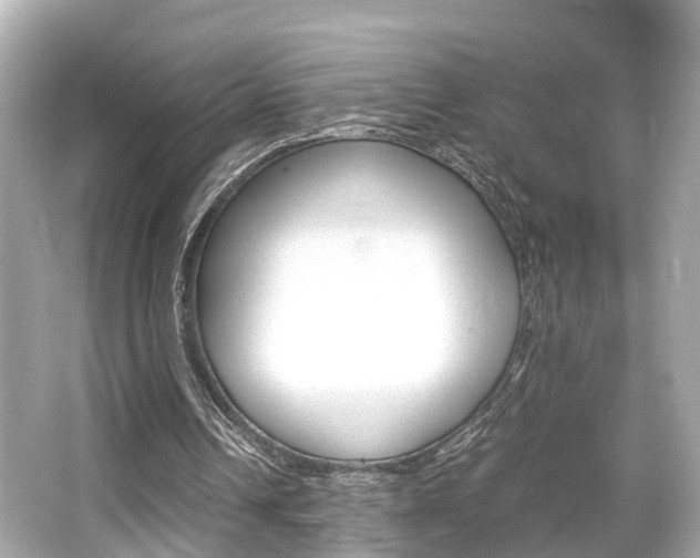 X0000066540242200603171102