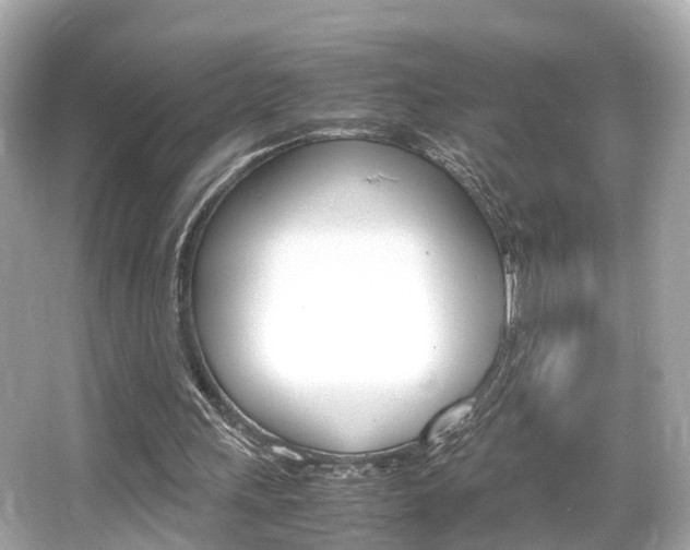 X0000066540243200603171102