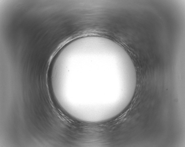 X0000066540244200603171102