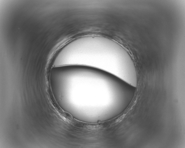 X0000066540245200603171102